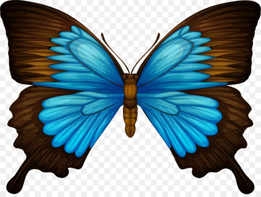 Papilio Ulysses，Borboleta PNG