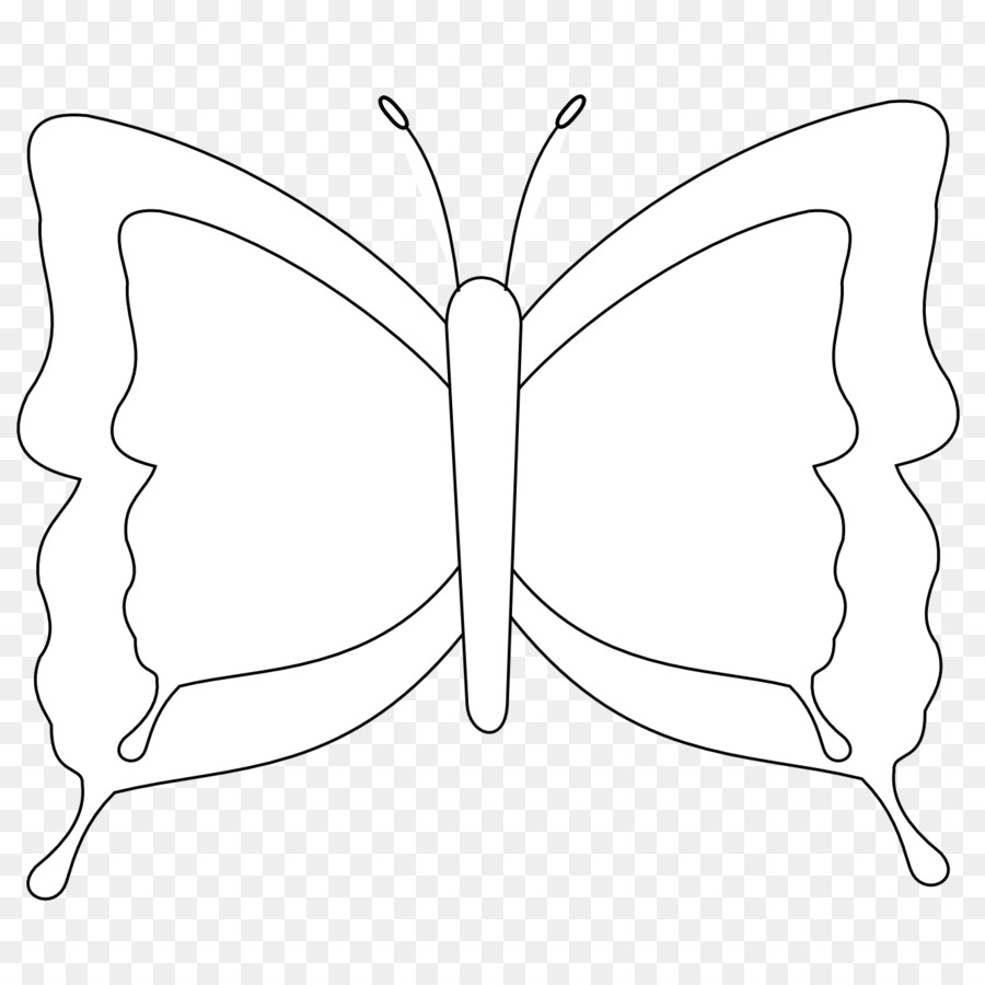 Borboleta，Nymphalidae PNG