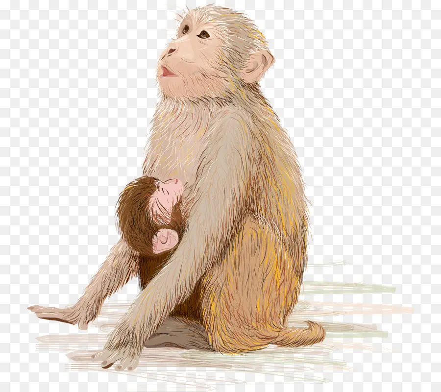 Infantil，Macaco PNG