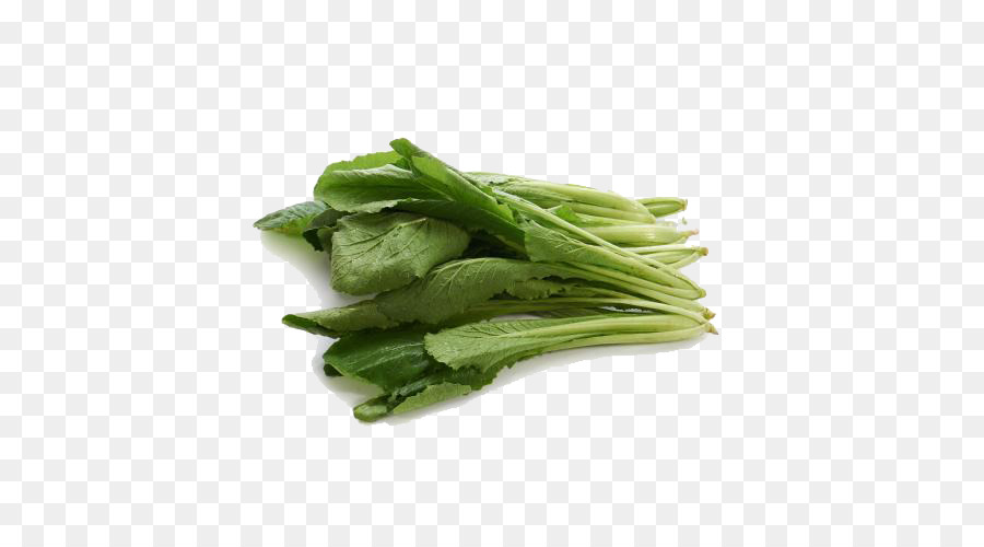 Bok Choy，Verde PNG