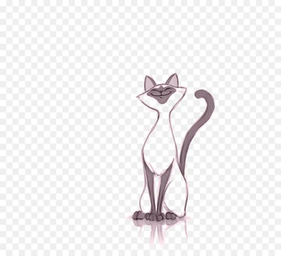 Desenho De Gato Siamês，Desenho PNG