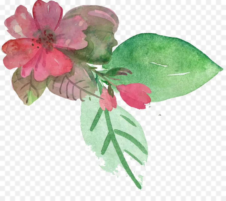 Flor Aquarela，Folha PNG