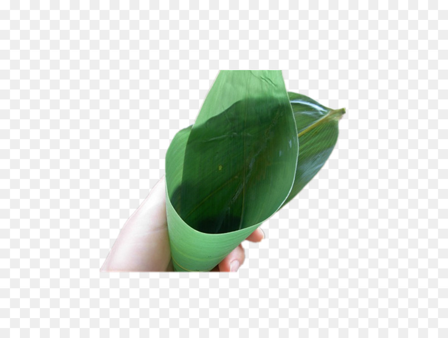 Zongzi，Folha PNG