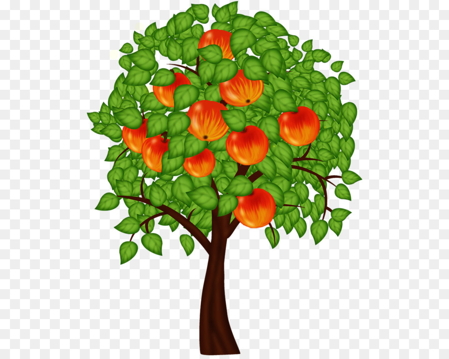 Macieira，Fruta PNG