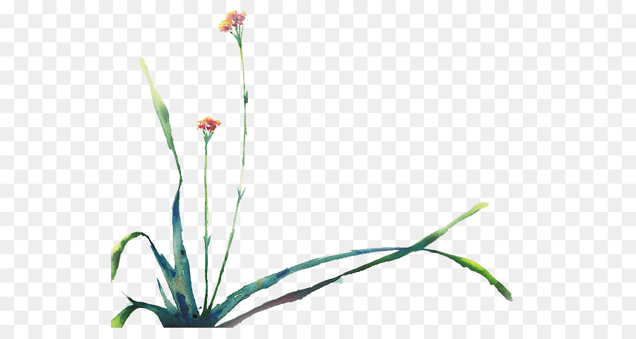 Flor，Florescer PNG