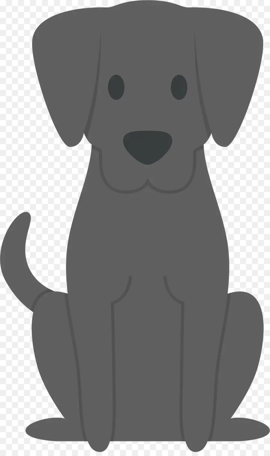 Labrador Retriever，Filhote De Cachorro PNG