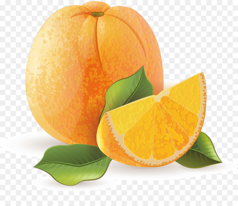 Laranja，Cítrico PNG