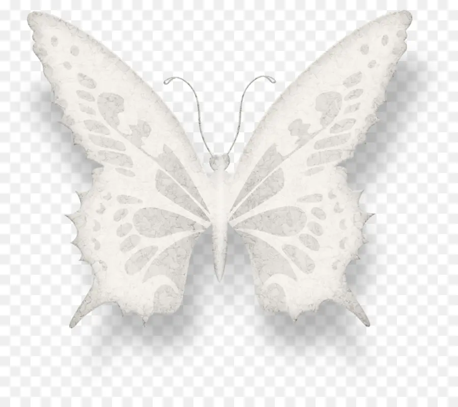 Borboleta，Desenho PNG