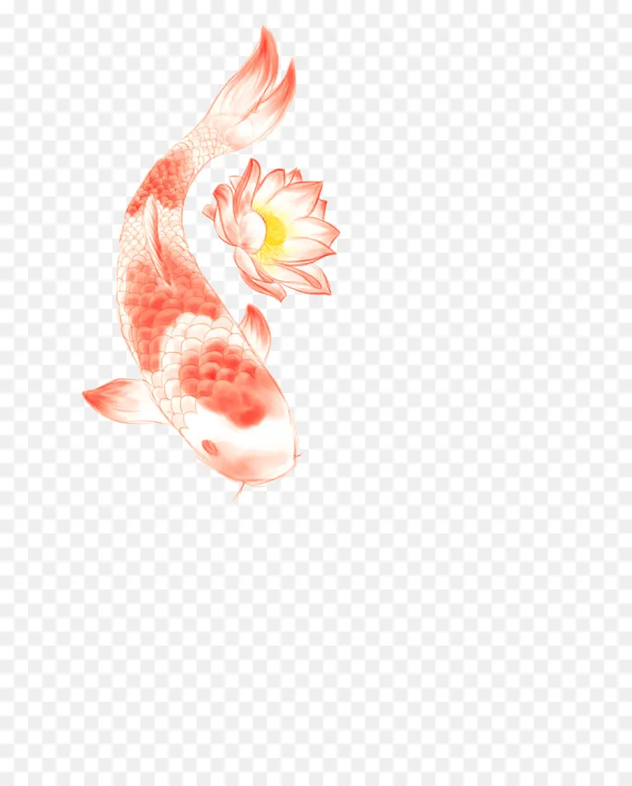 Koi，Borboleta Koi PNG