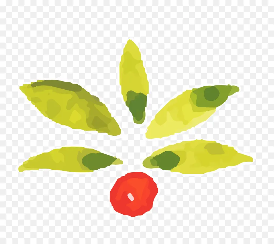 Folhas Verdes E Frutos Vermelhos，Folha PNG