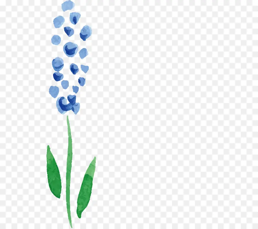 Flor Azul，Aquarela PNG