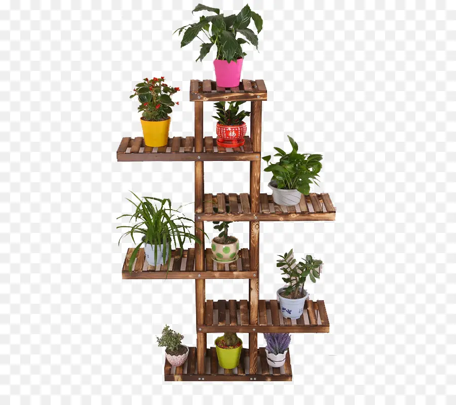 Prateleira De Plantas，Plantas PNG