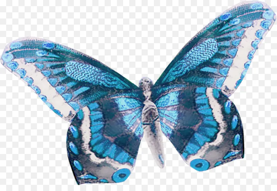 Borboleta Azul，Azul PNG