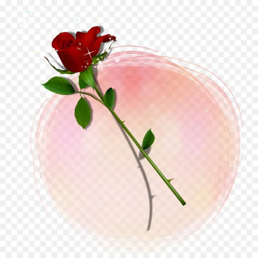 Rosa Vermelha，Tronco PNG