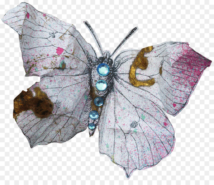 Borboleta，Nymphalidae PNG