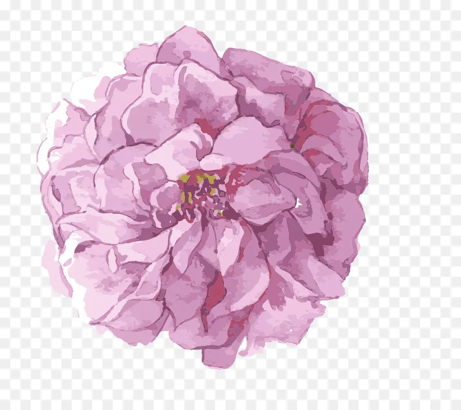 Pintura Em Aquarela，Flor PNG