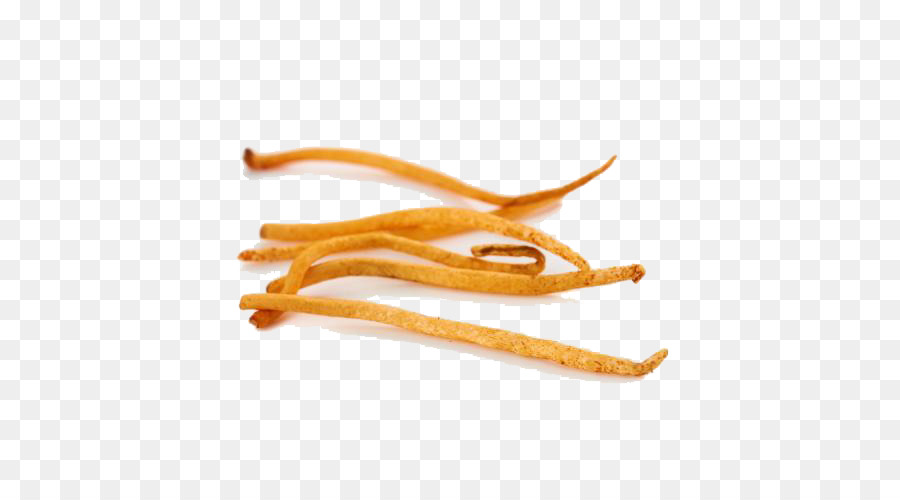 Cordyceps Secos，Erva PNG