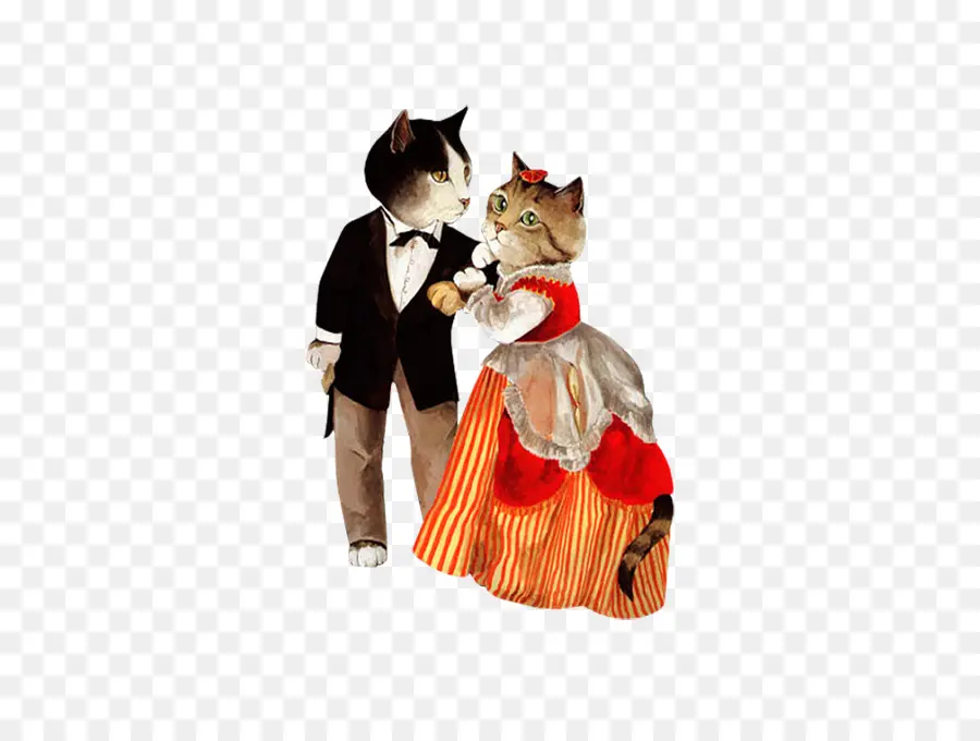 Gatos Em Roupas，Animais PNG