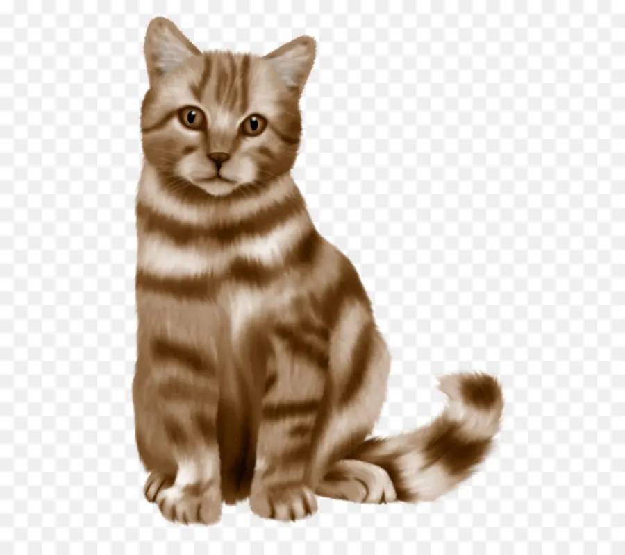 Gato Persa，Russo Azul PNG