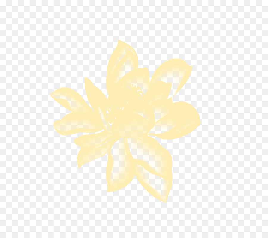 Flor Amarela，Florescer PNG