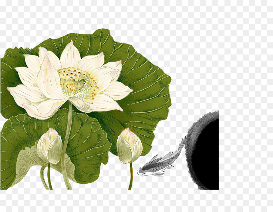 Nelumbo Nucifera，Chinoiserie PNG