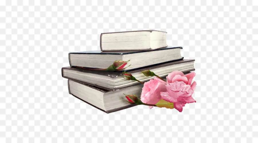 Livro，Biblioteca PNG