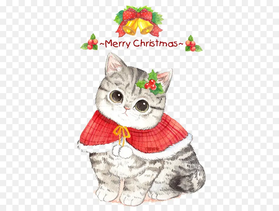 Gato De Natal，Feriado PNG