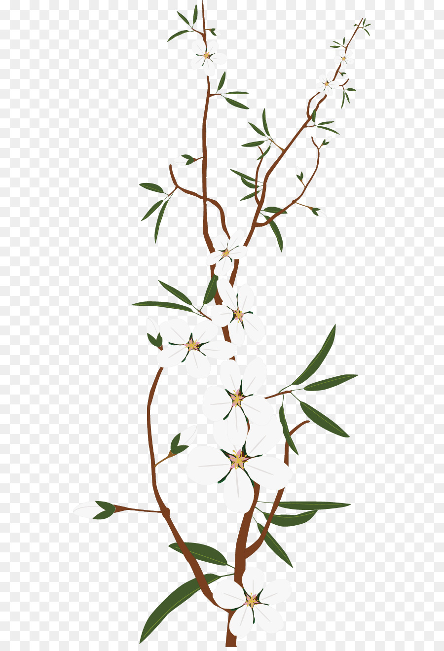 Ramo De Flor，Branco PNG