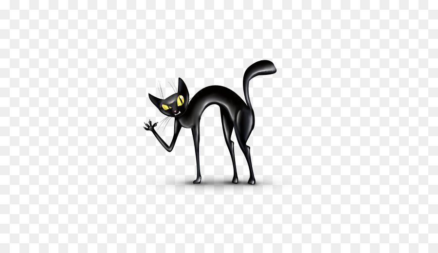 Gato Preto，Gato PNG