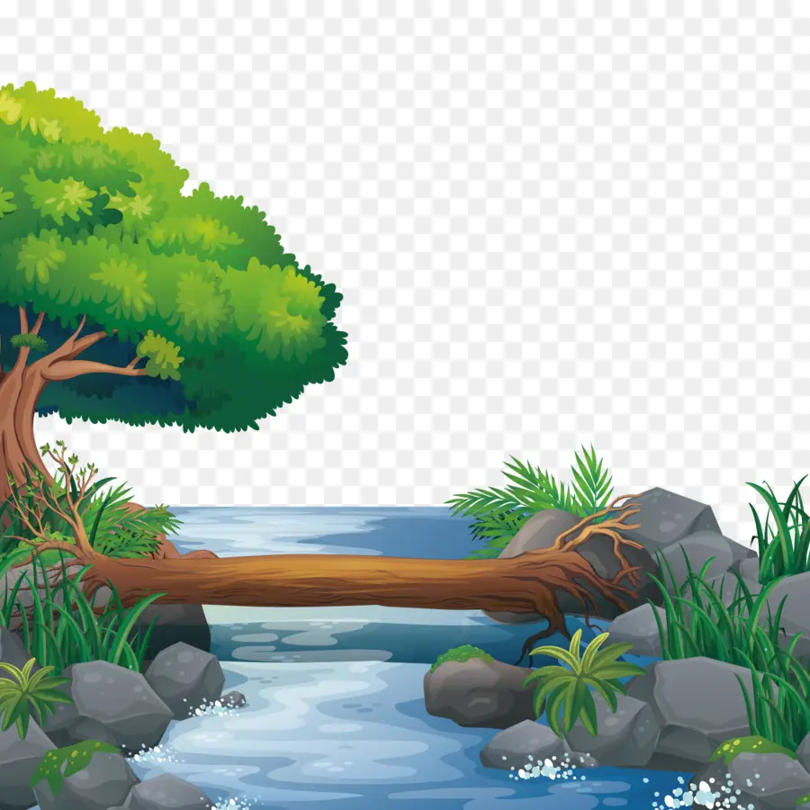 Natureza，O Adobe Illustrator PNG