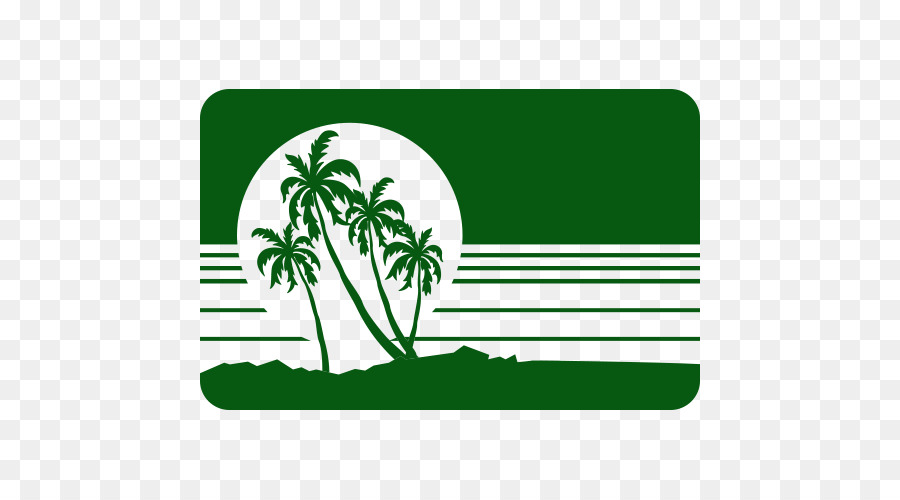 Palmeiras，Pôr Do Sol PNG