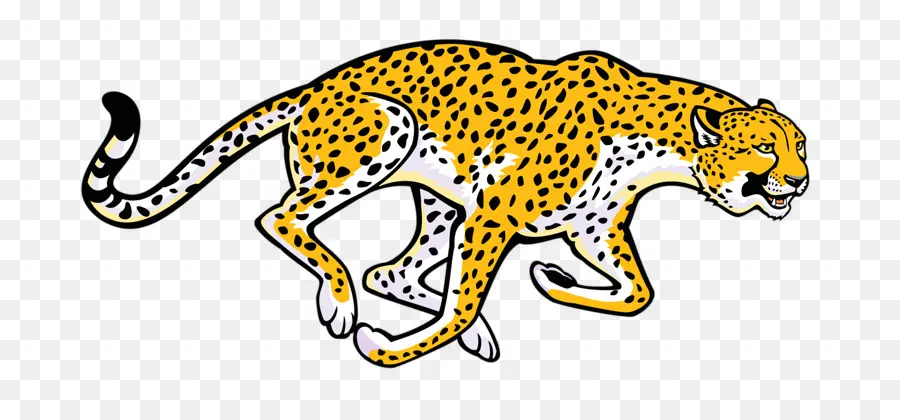 Cheetah，Preto E Branco PNG