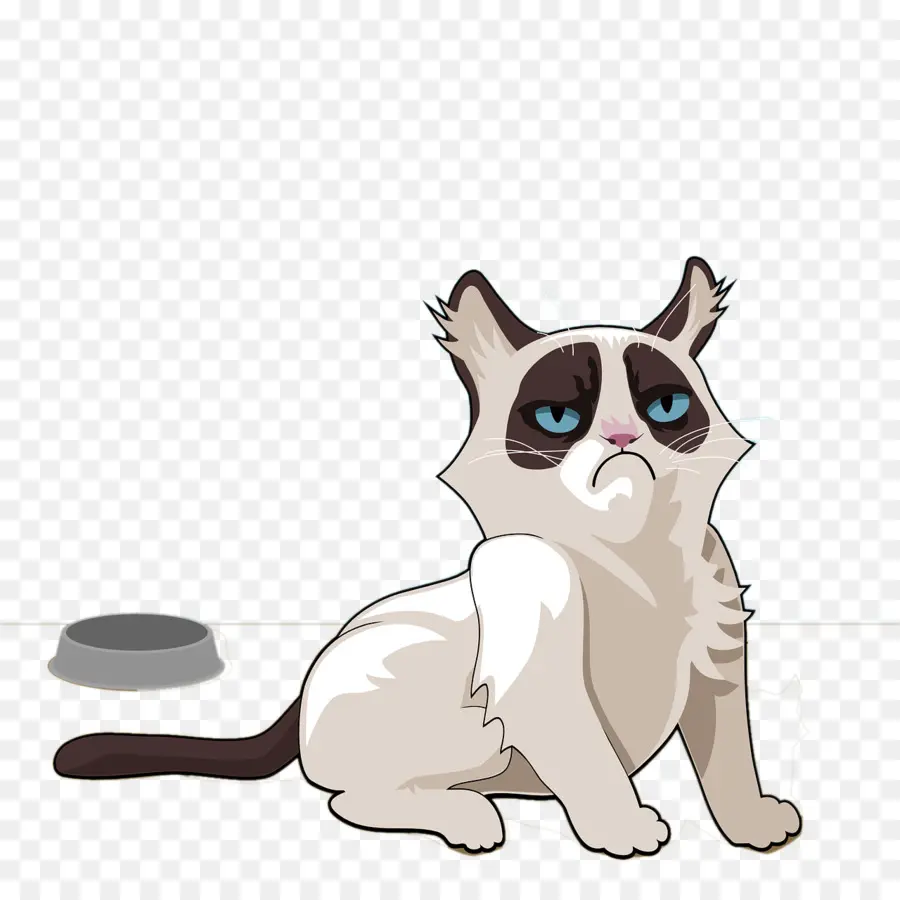 Gato Persa，Grumpy Cat PNG