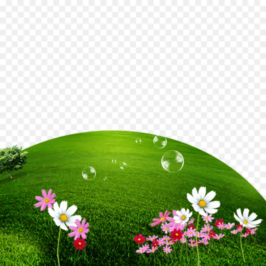 Colina Verde Com Flores，Colina PNG