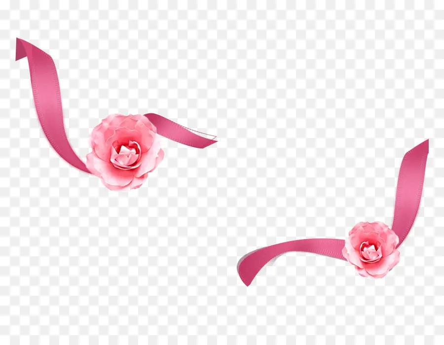 Fita Rosa Com Flores，Flores PNG