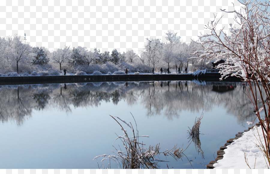 Pequim Jardim Botânico，Fada Do Lago Jardim Botânico PNG