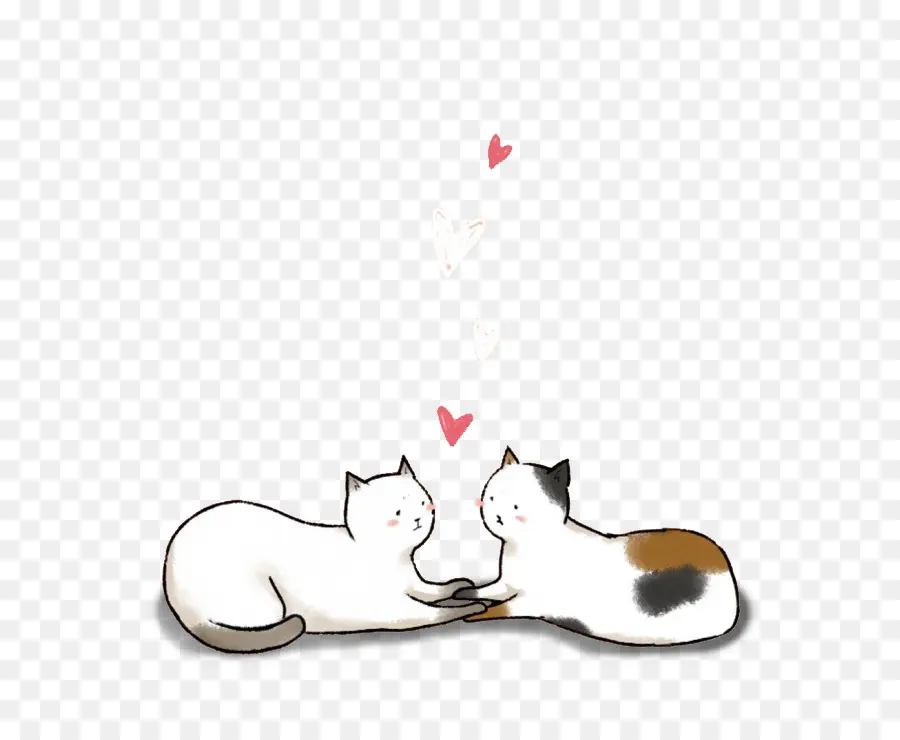 Gato，Amor PNG