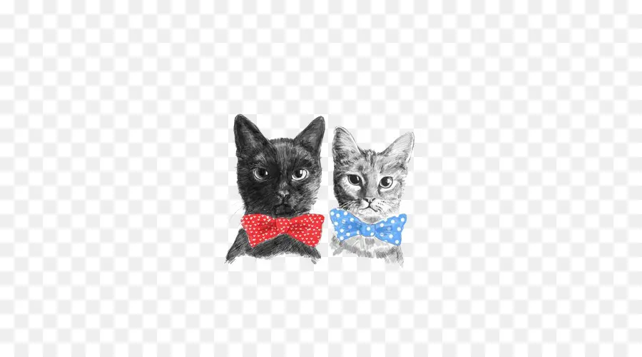 Gatos Com Gravata Borboleta，Vestida PNG