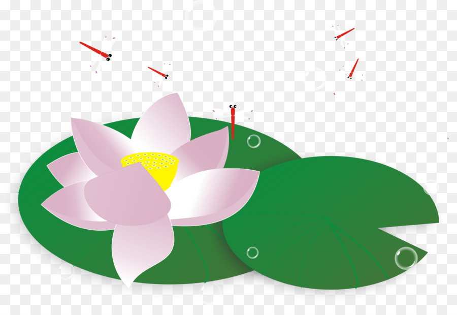 Nelumbo Nucifera，Chinoiserie PNG