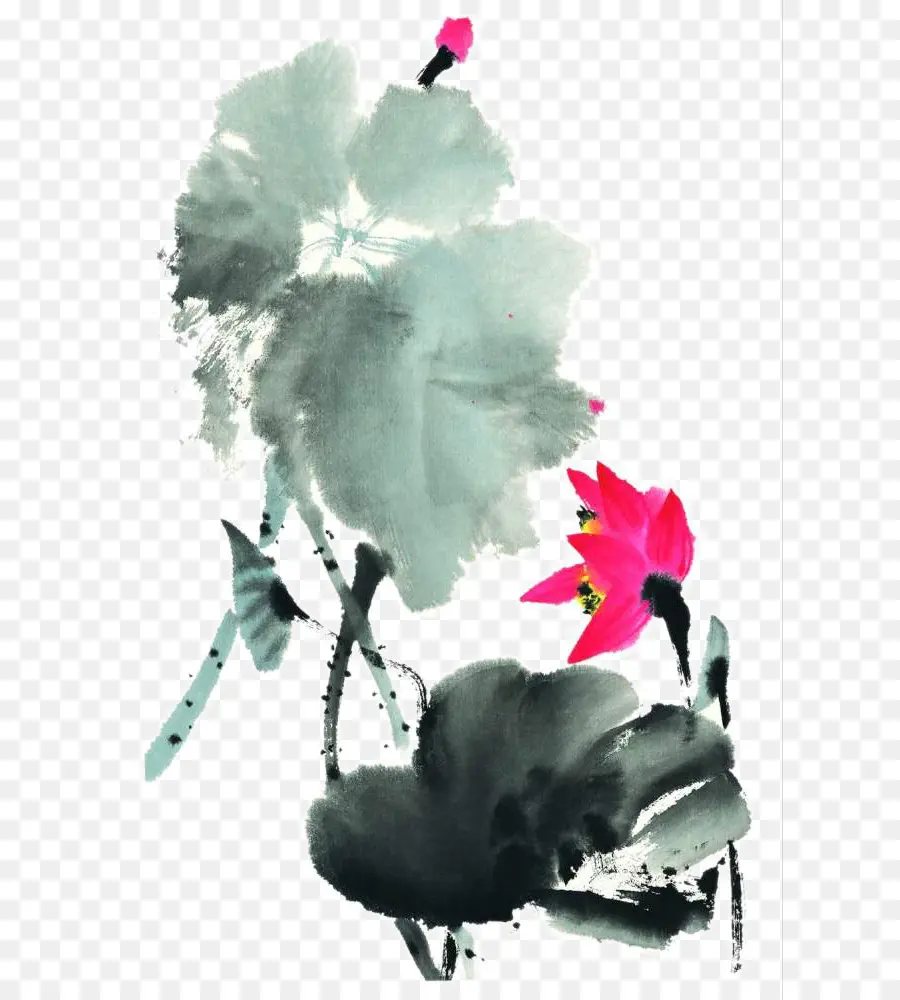 Flores Em Aquarela，Aquarela PNG