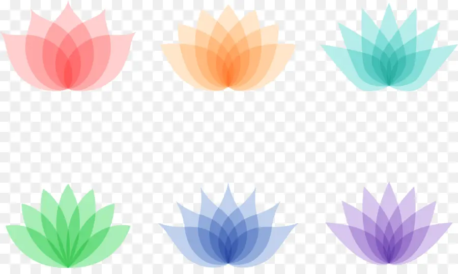 Flores De Lótus Coloridas，Lótus PNG