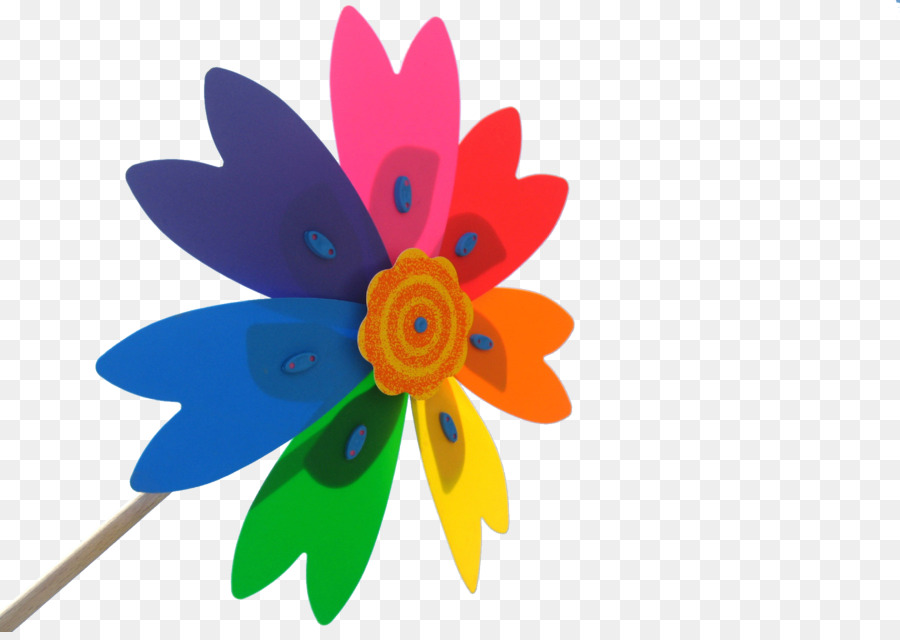 Flor，Colorido PNG