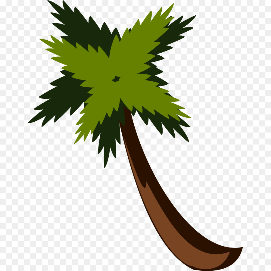 Arecaceae，Conteúdo Grátis PNG