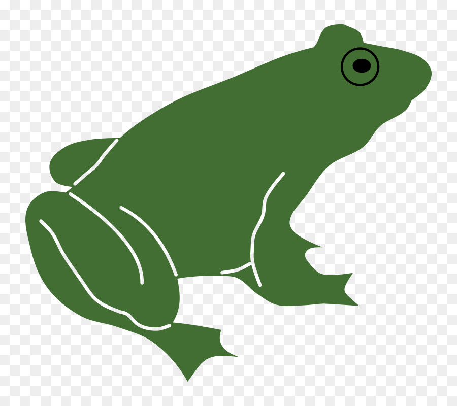 Sapo Verde Dos Desenhos Animados，Animal PNG