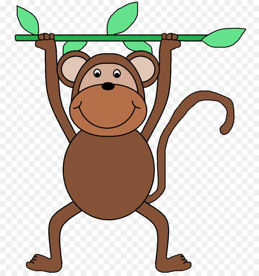 Macaco，Animal PNG