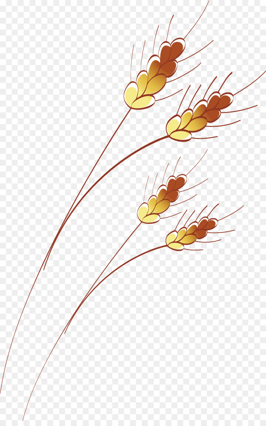 Design Floral，O Adobe Illustrator PNG