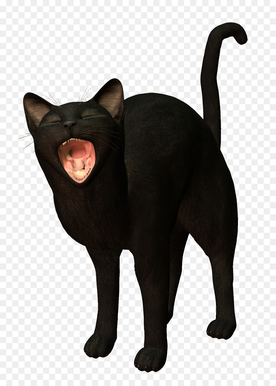 Gato Preto，Bocejando PNG