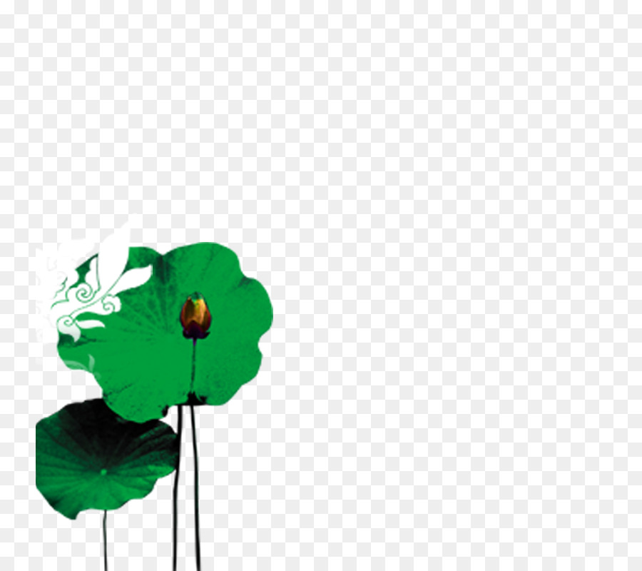 Lótus Verde，Folha PNG