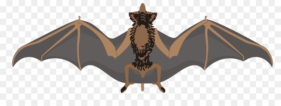 Bat，Scalable Vector Graphics PNG