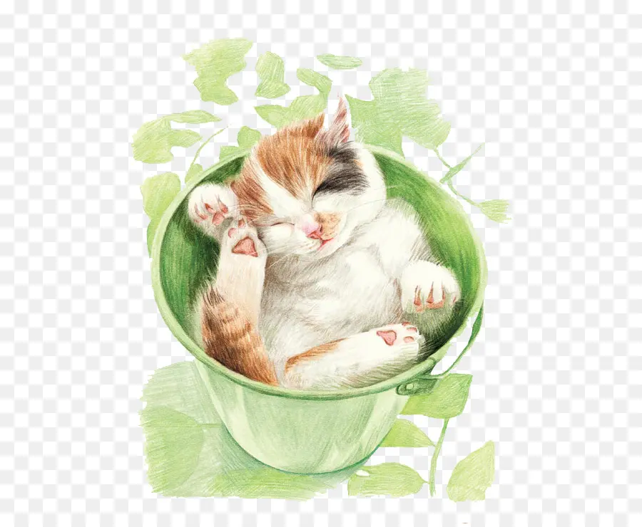 Gato Em Um Balde，Bonitinho PNG